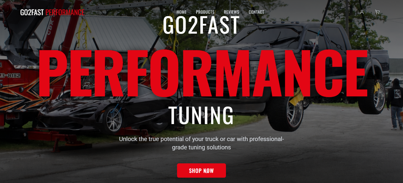Go2Fast Performance website screenshot